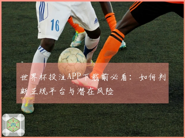 世界杯投注APP下载前必看：如何判断正规平台与潜在风险
