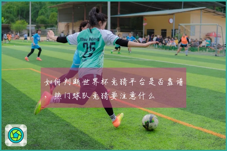 如何判断世界杯竞猜平台是否靠谱,热门球队竞猜要注意什么