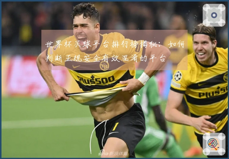 世界杯买球平台排行榜揭秘：如何判断正规安全有效混淆的平台