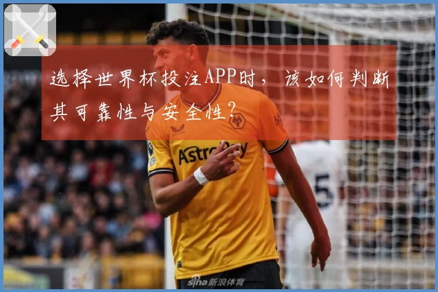 选择世界杯投注APP时，该如何判断其可靠性与安全性？